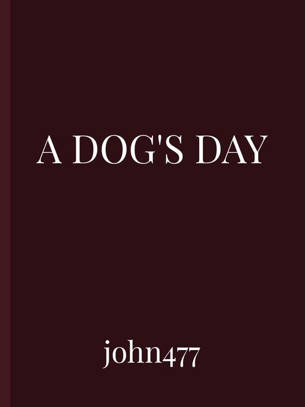 A Dog's Day